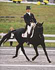 Windfall dressage