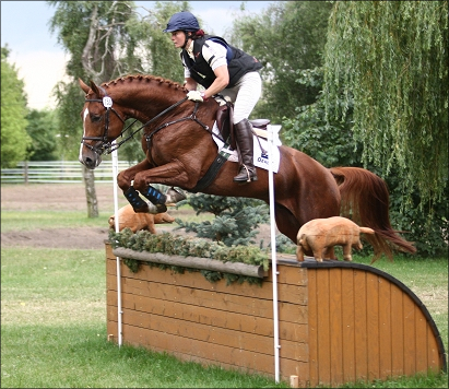 Lucky jumping 3. Photos by
Tierfotografie Huber.