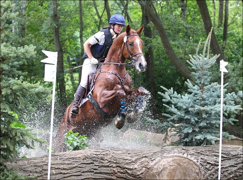 Lucky jumping. Photos by
Tierfotografie Huber.