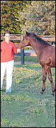 Horses for sale at New Spring Farm